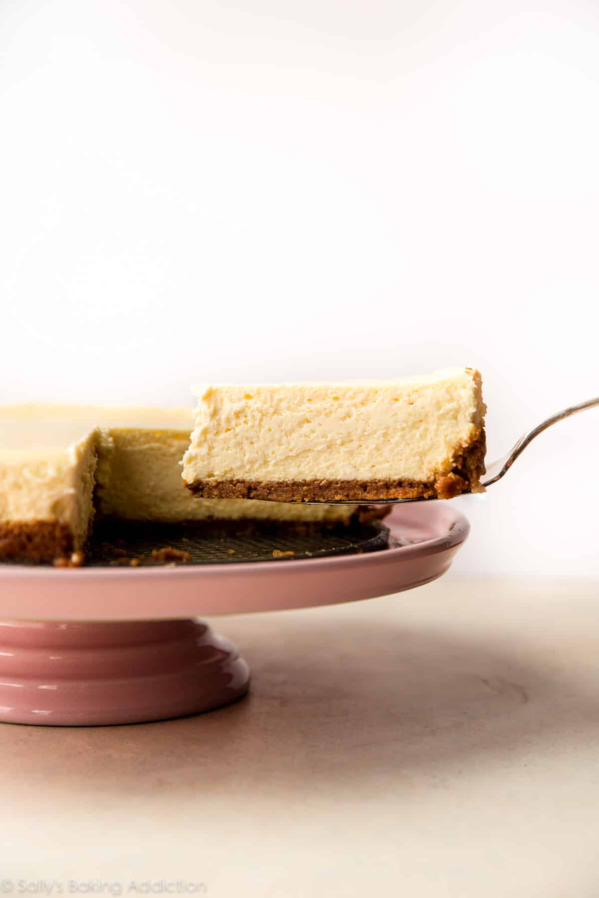 slice of cheesecake on a spatula